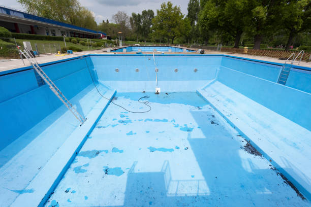 Best Mold removal after water damage  in Netcong, NJ