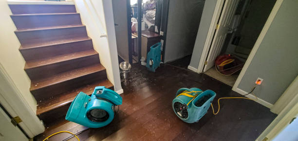 Best Mold removal after water damage  in Netcong, NJ