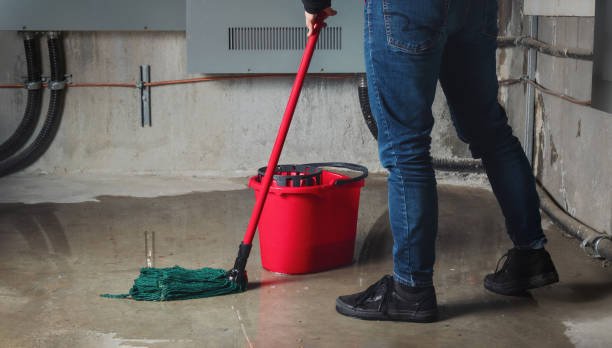 Best Fire Damage Restoration  in Netcong, NJ