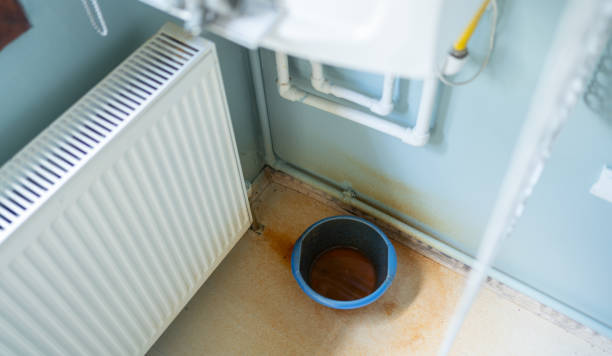 Best Water damage restoration near me  in Netcong, NJ