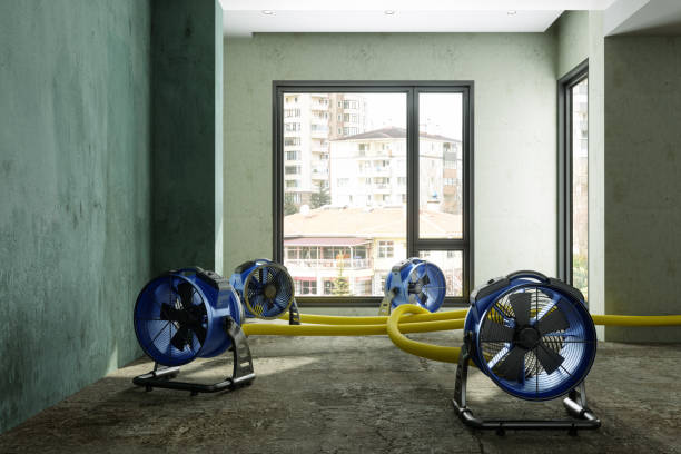 Best Local water damage restoration  in Netcong, NJ