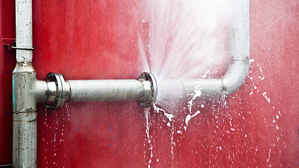 Best Basement water damage restoration  in Netcong, NJ